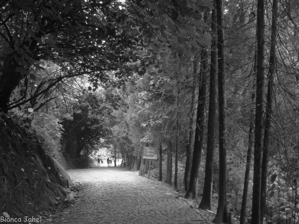 Caminho de pedras — fotografia de Bianca Jahel
