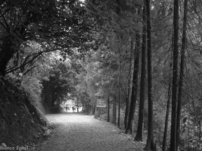 Caminho de pedras — fotografia de Bianca Jahel