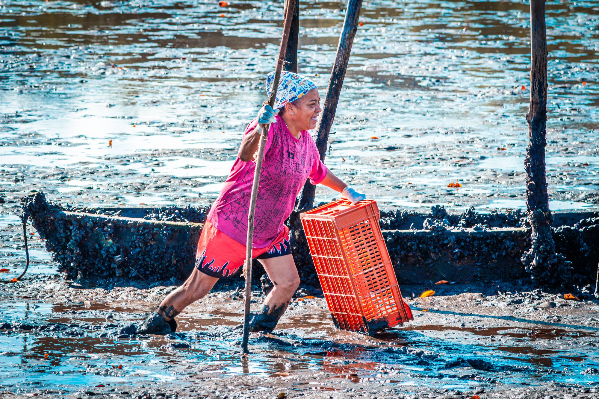 Ilha das caieiras — fotografia de Rômulo Queiroz